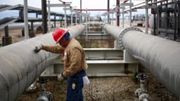 US oil reserves drop towards Reagan-era lows, 'significant impact at the pump' coming, experts warn